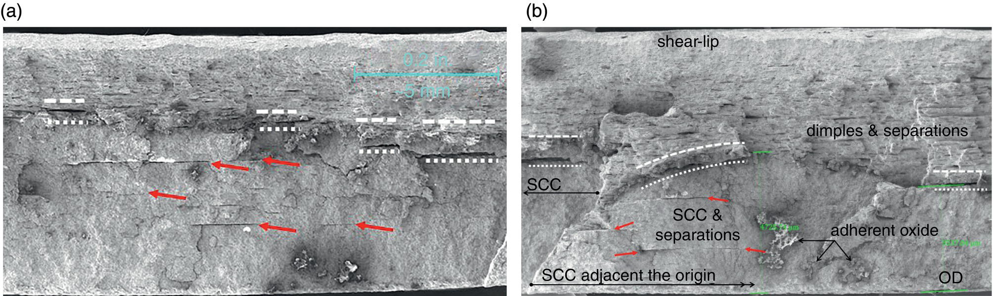 Two microscopic images. A. Overview of separations acting as barriers to S C C growth. B. Close-up of the crack showing vertical steps along the separations.
