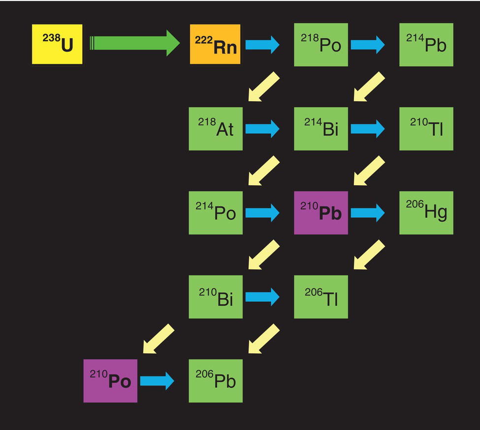 A flowchart illustrating the decay series of Uranium-238. The diagram shows the transformation of isotopes through various decay stages until reaching Lead-206.