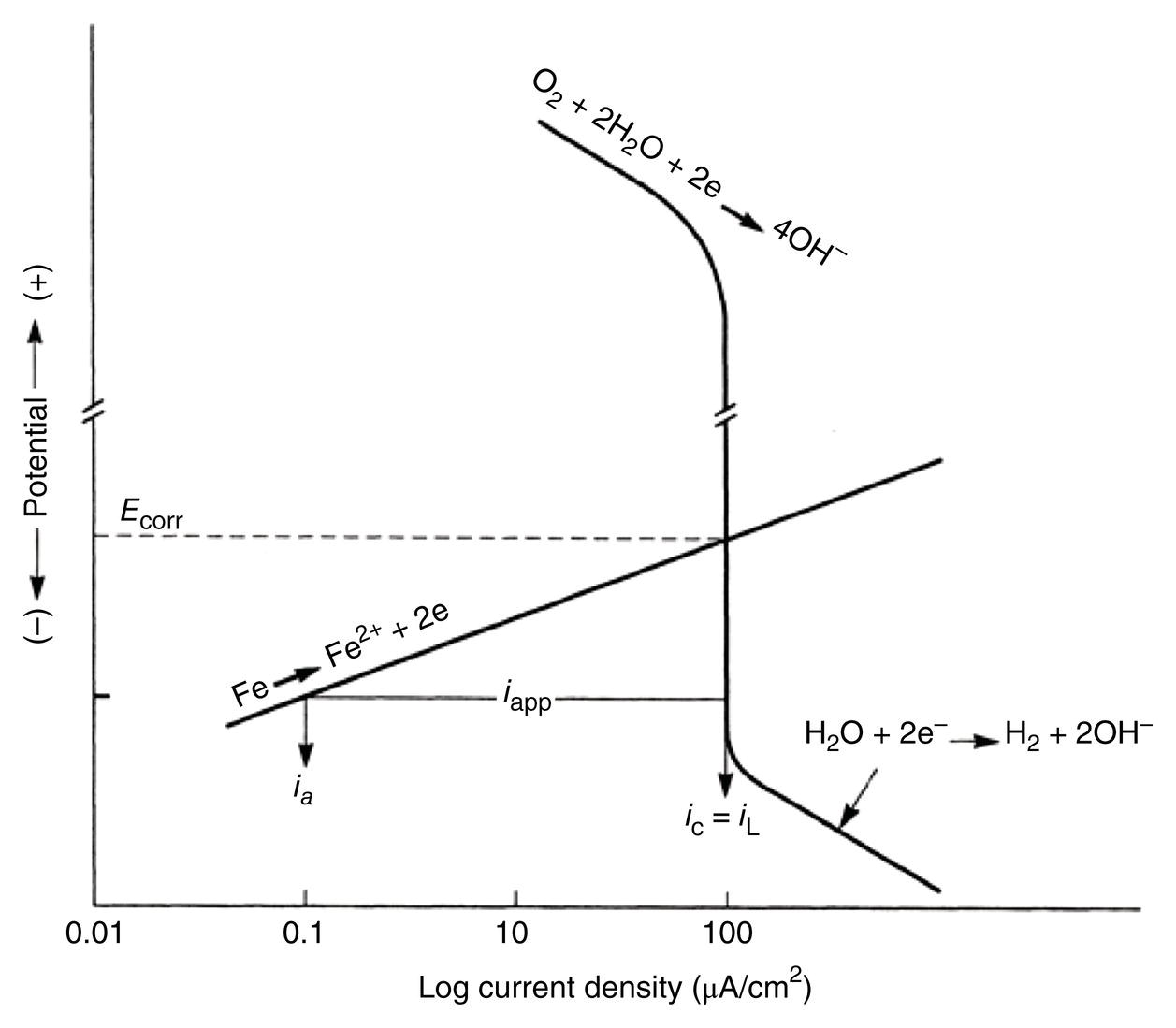 A graph depicting the relationship between log current density and potential. It shows various electrochemical reactions with labeled points for corrosion potential and current densities.