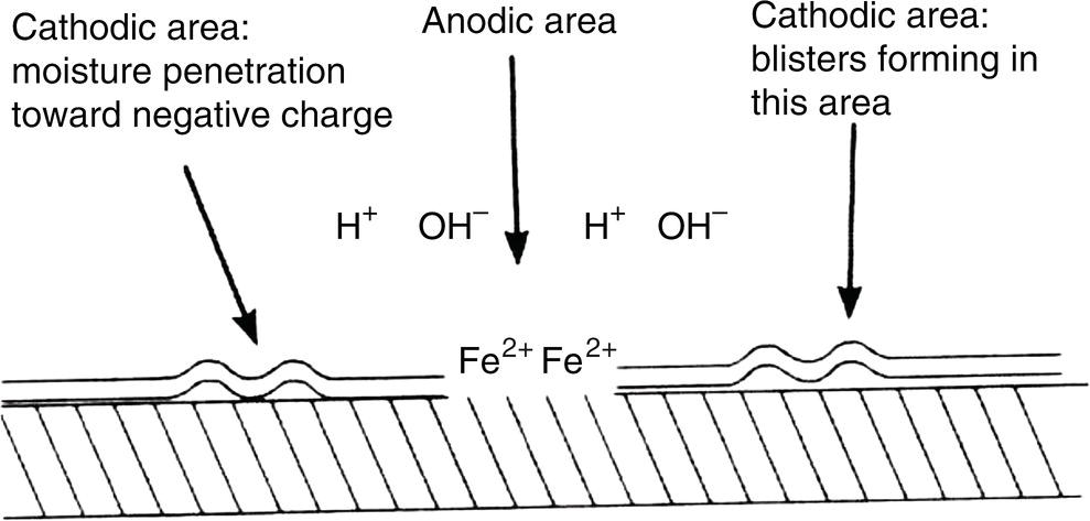 An illustration of a metal surface showing anodic and cathodic areas. It highlights moisture penetration, charge distribution, and the formation of blisters in the cathodic region.