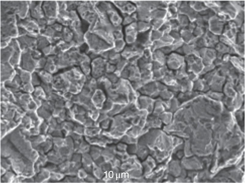 A microscopic photograph of a metal surface showing irregular, jagged textures. Scale bar indicates a size of 10 micrometers, highlighting fine surface features.