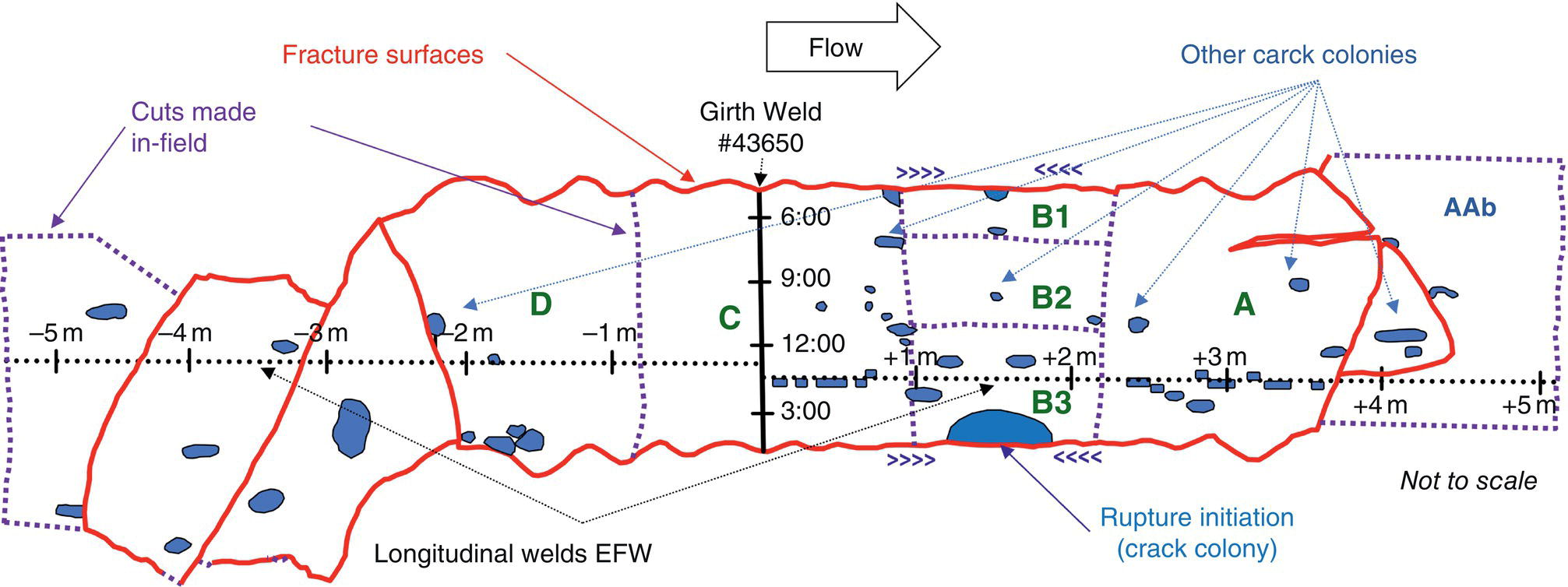 A labeled diagram showing a cross-section of a weld with fracture surfaces, indicating various segments, measurements, and flow direction. Areas of interest for crack colonies and rupture initiation are highlighted within the sections.