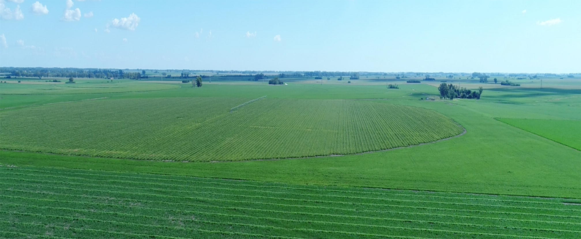 An aerial view of a vast agricultural field with distinct planting rows. A circular area in the center contrasts with surrounding sections, and distant trees punctuate the landscape.