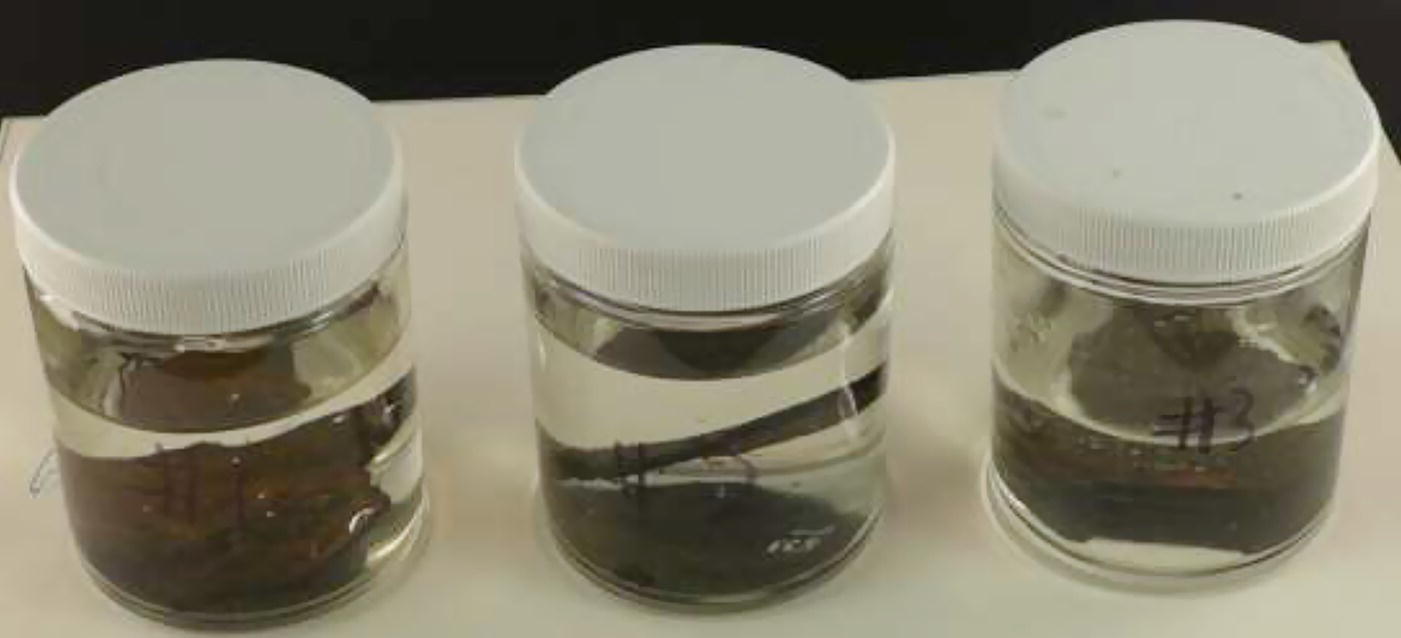 Three transparent jars filled with liquid, each containing varying amounts of dark sediment at the bottom. The jars have white screw-on lids and are aligned next to each other on a flat surface.