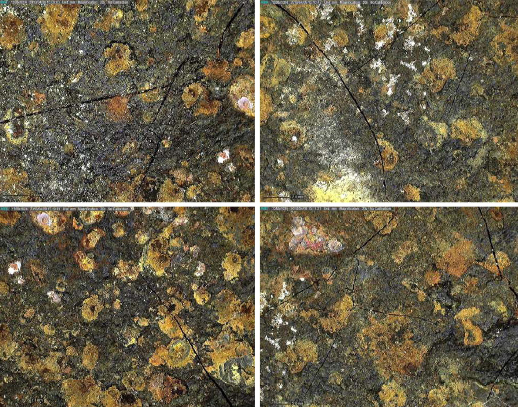 Four micrographs displayed in a 2x2 grid, each featuring textured surfaces with varying patterns. The images show fractures and irregularities across the surfaces, highlighting their distinct characteristics.
