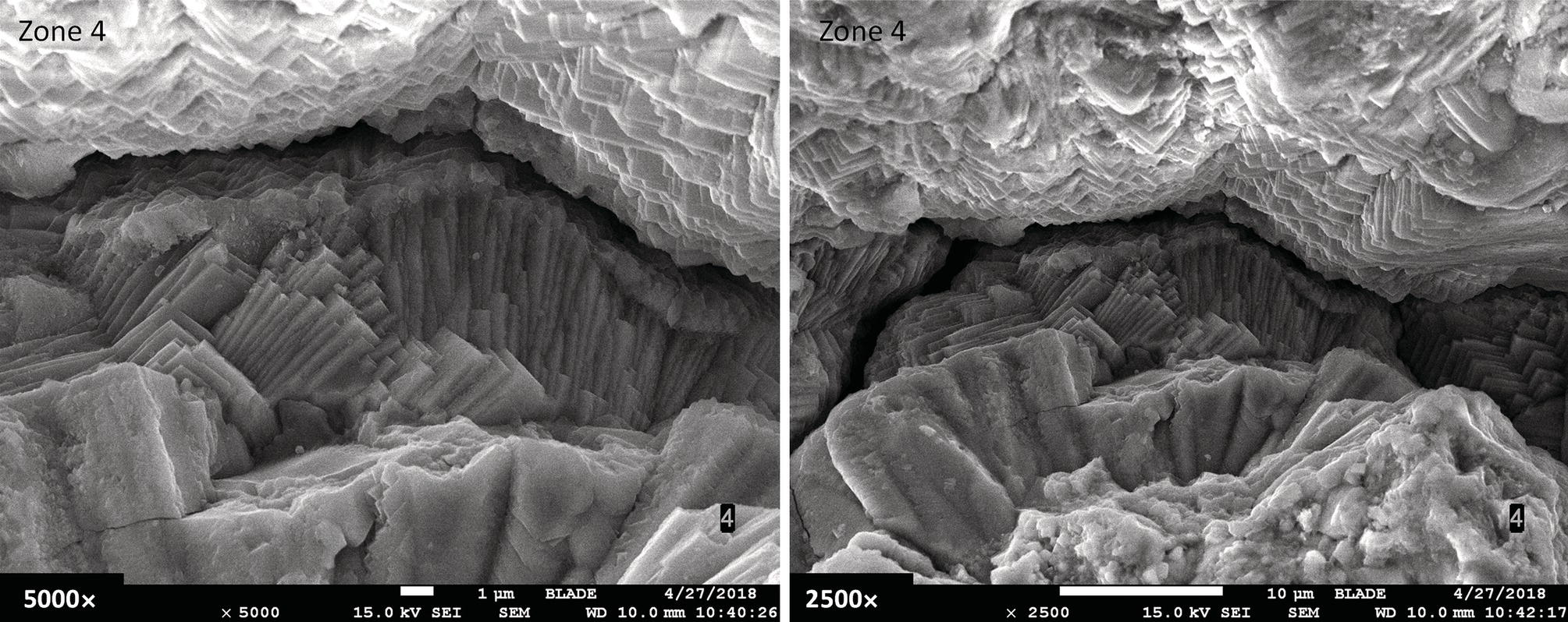 Two scanning electron microscope images show the surface morphology of Zone 4 at magnifications of 5000x left and 2500x right, revealing intricate structural details. Each image is labeled with its respective magnification.