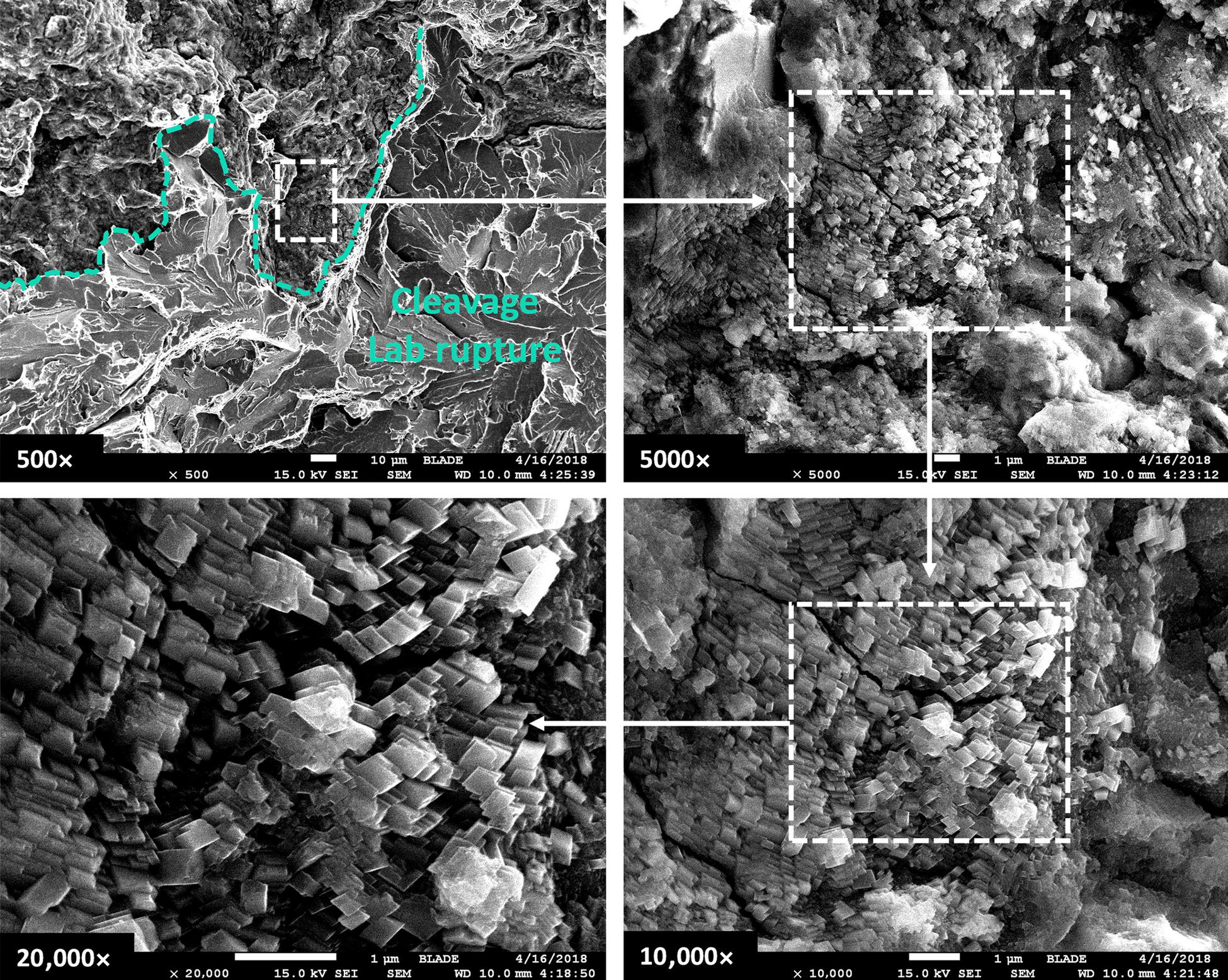 Four scanning electron microscope images display a range of magnifications: 500x top left, 5000x top right, 20,000x bottom left, and 10,000x bottom right, highlighting details of cleavage and lab rupture. Insets show magnified views of specific surface features.