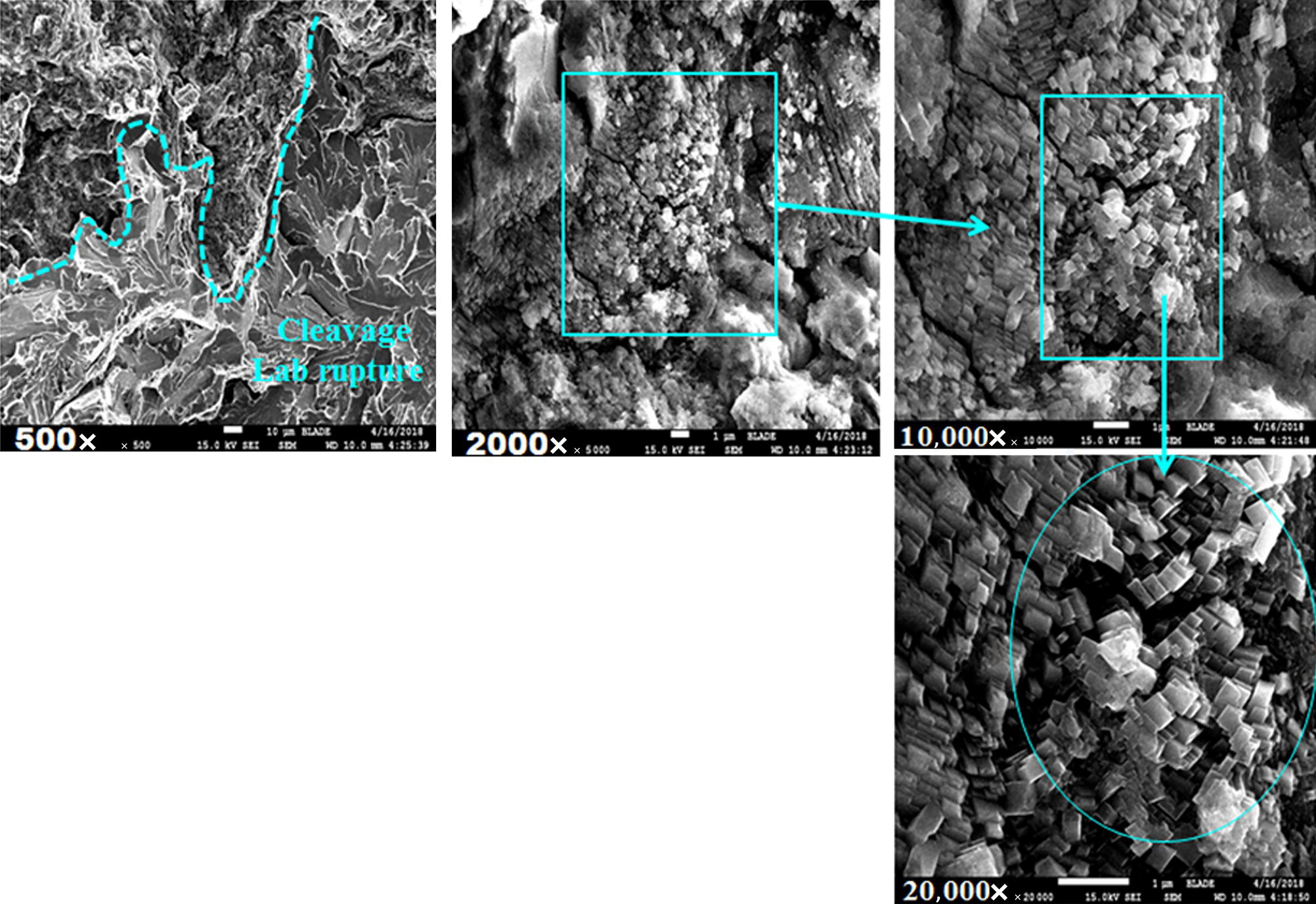 Four scanning electron microscope images show varying magnifications of a sample: 500x and 2000x top row, with the 2000x image highlighting a specific area, followed by 10,000x and 20,000x images bottom row showing intricate details. Each image includes scale bars for reference.