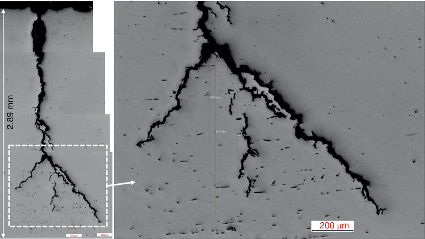 A scanning electron microscope image showing a ruptured crack with a high concentration of delaminated or microcracked inclusions. An inset provides a detailed view, with scale bars indicating 200 µm and 20 µm.
