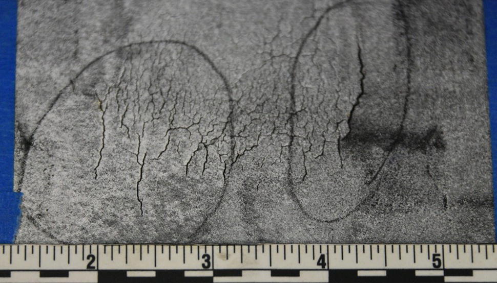 An image showing a detailed view of spider-web surface crack colonies. A ruler is placed at the bottom for reference.