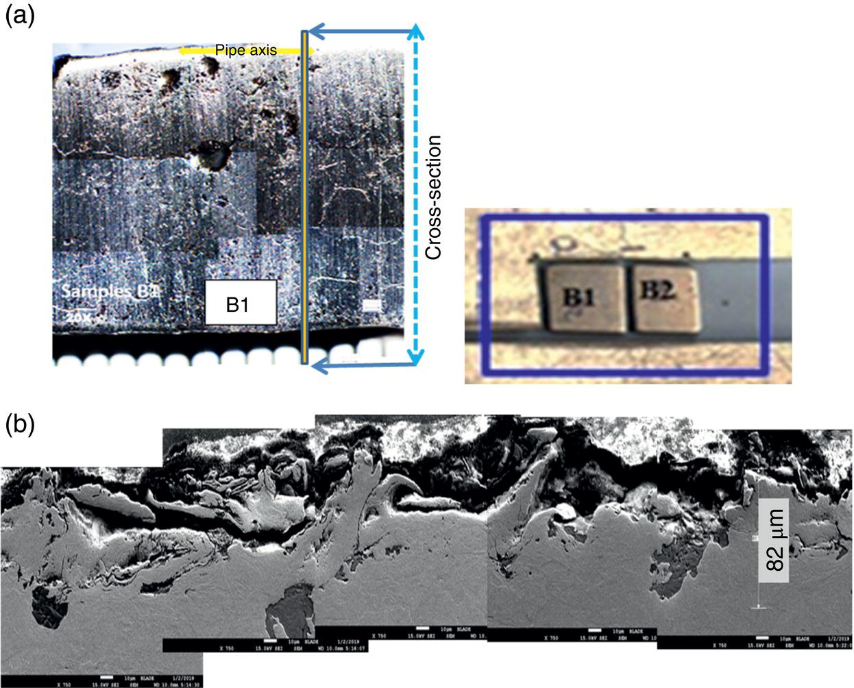Two panels showing (a) a surface view indicating cross-section locations of specimens B1 and B2 for crack examination, and (b) SEM cross-sectional views at 700x magnification.