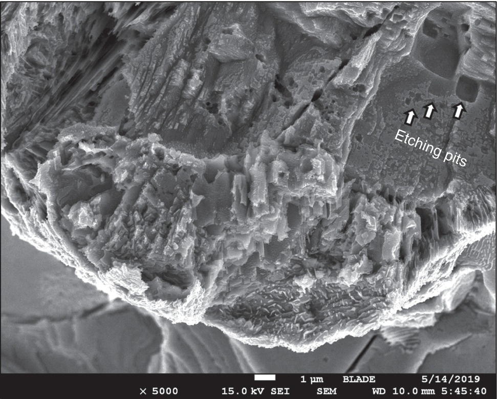 A SEM image of a fracture surface at the crack tip. Features include detailed textures and structures labeled for further examination.