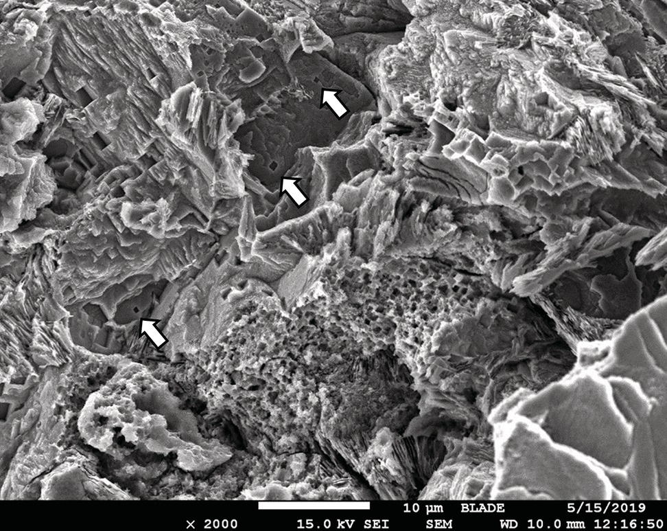 A SEM image of a fracture surface at the crack tip, with highlighted features indicated by arrows. The texture and structure of the surface are clearly visible.