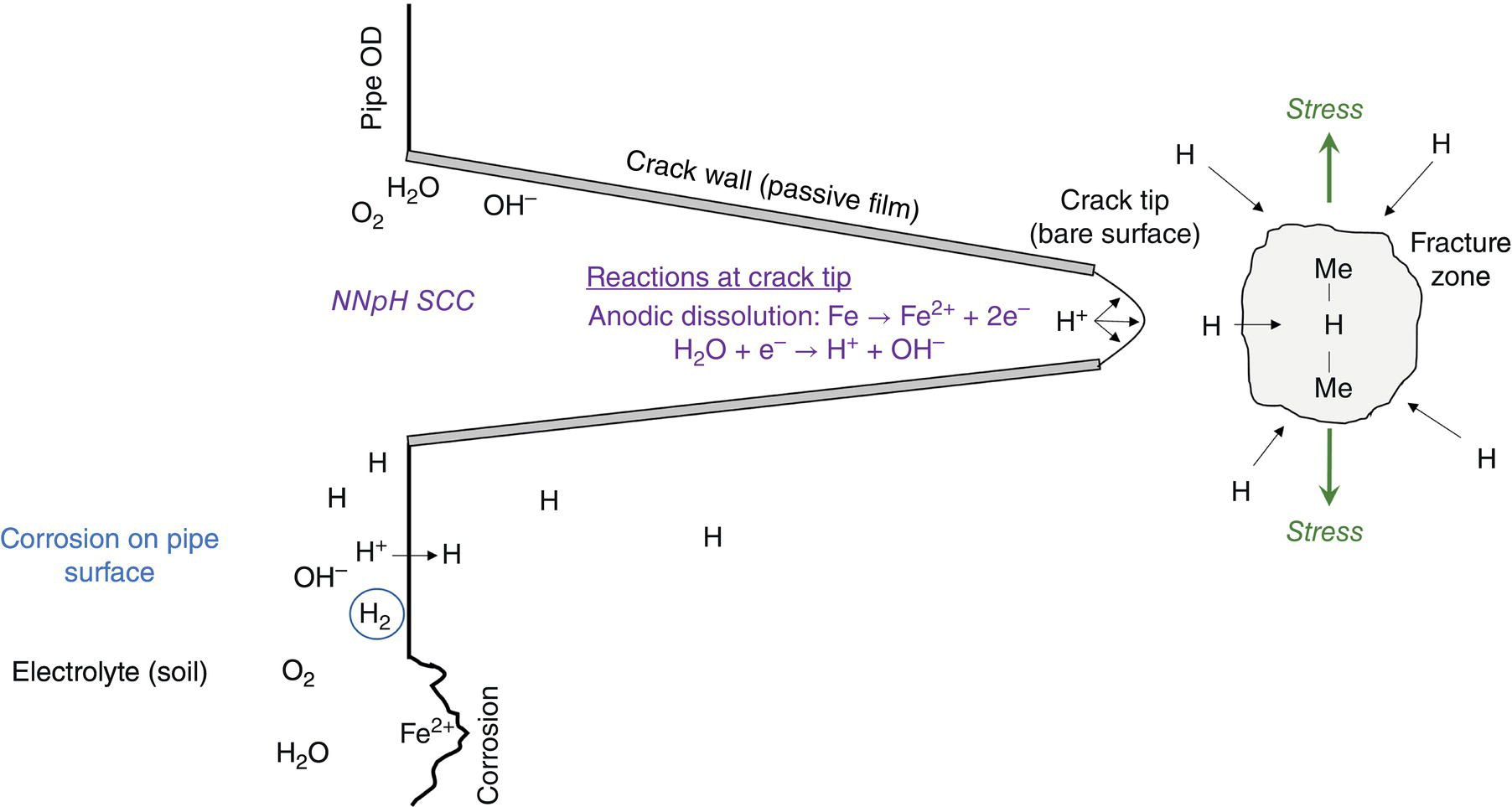 A schematic illustrating the hydrogen-assisted cracking HAC mechanism, highlighting reactions at the crack tip and electrolyte interactions. Key components include stress points, the crack wall, and hydrogen diffusion pathways.