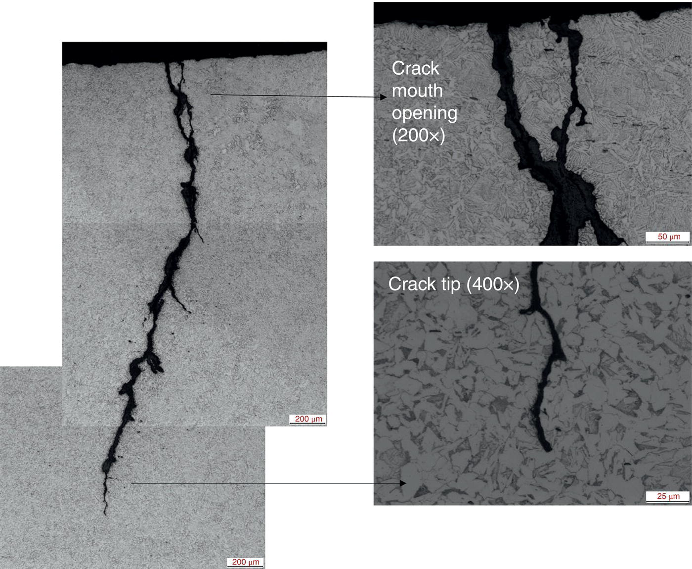 A microscopy images of a transgranular crack from a weld toe transitioning to the heat-affected zone (HAZ). Includes annotations for crack mouth opening at 200x and crack tip at 400x magnification.
