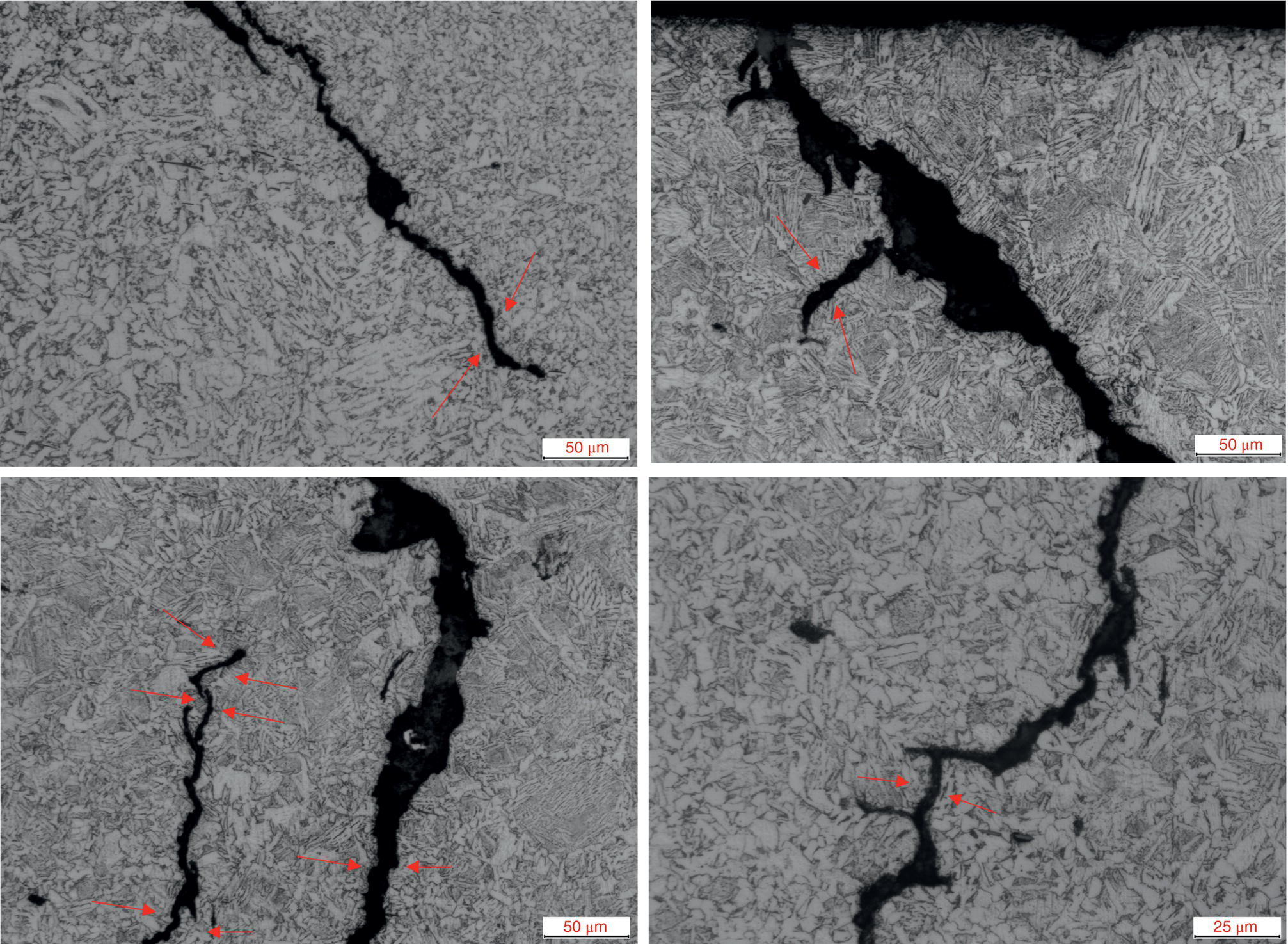 A metallographs displaying the transgranularity of a crack path. Images feature varying magnifications, with scale bars indicating 25 µm and 50 µm.