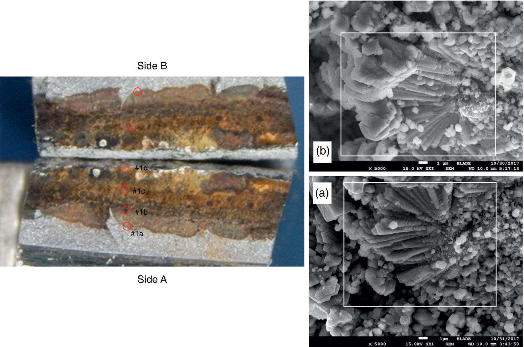 Two images showing hydrogen-assisted cleavage cracking in materials, with detailed surfaces from different angles. Labels indicate specific features on the samples for comparison.