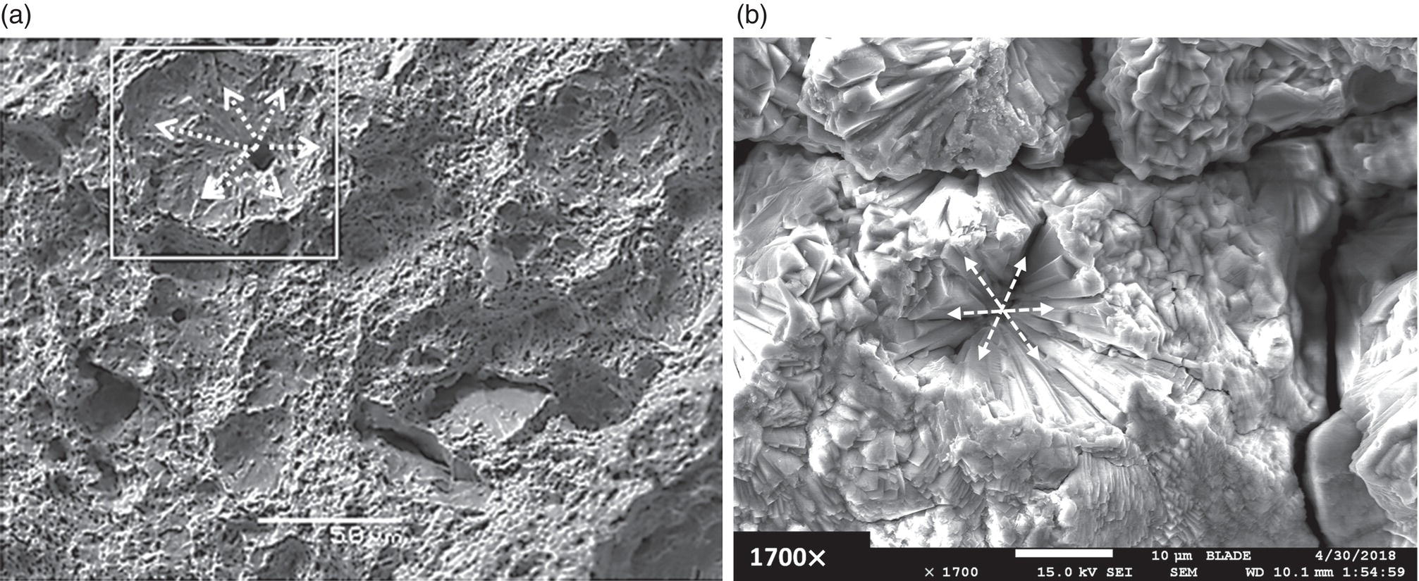 Two scanning electron microscope images showing surface features of a sample related to in-service failure. The left image includes a boxed area for detail, while the right image is magnified at 1700x.